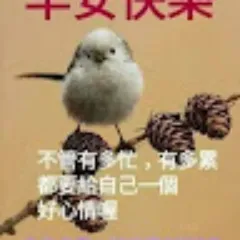 benson Chen的頭像