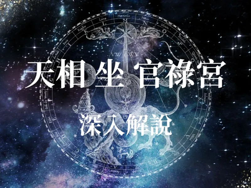 占卜算命 - 【紫微斗數】官祿宮坐天相星：職場上的完美特助？揭秘你的事業運勢與升遷關鍵